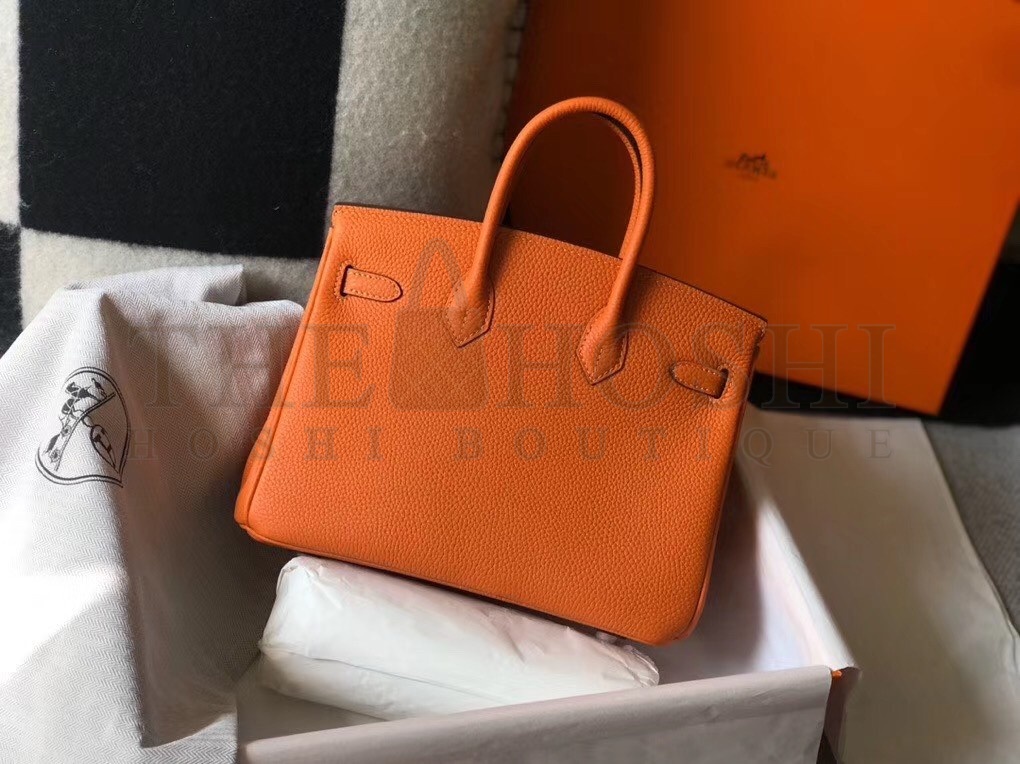 H**me5 Birkin 25cm Bag In Orange Clemence Leather Master Quality