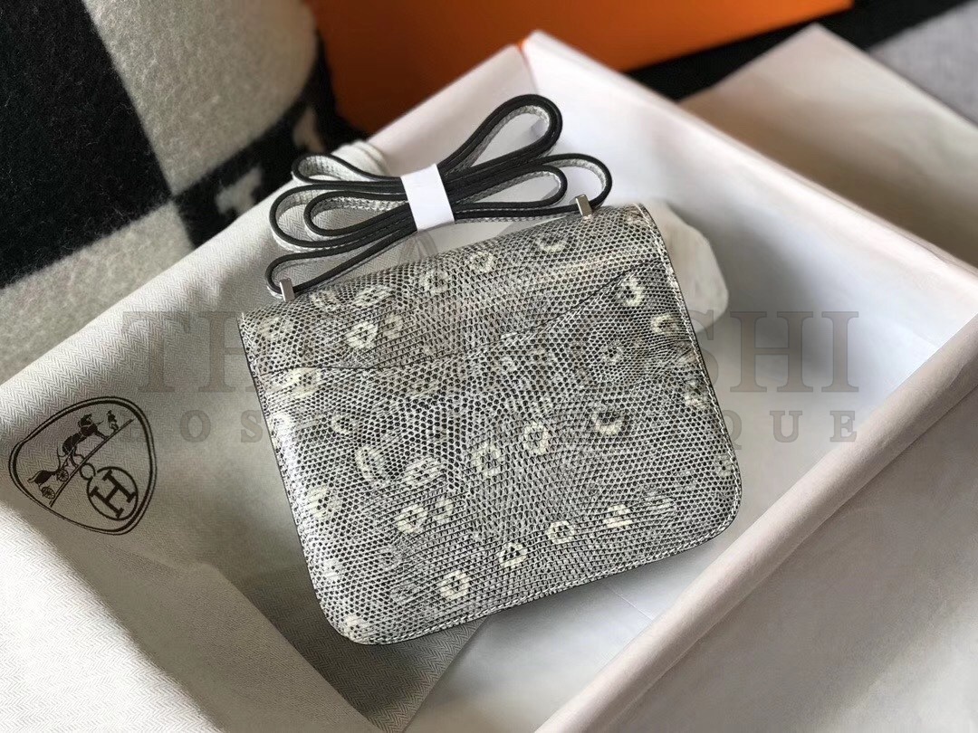 H**me5 Constance 18cm Bag In Ombre Embossed Natural Lizard Master Quality