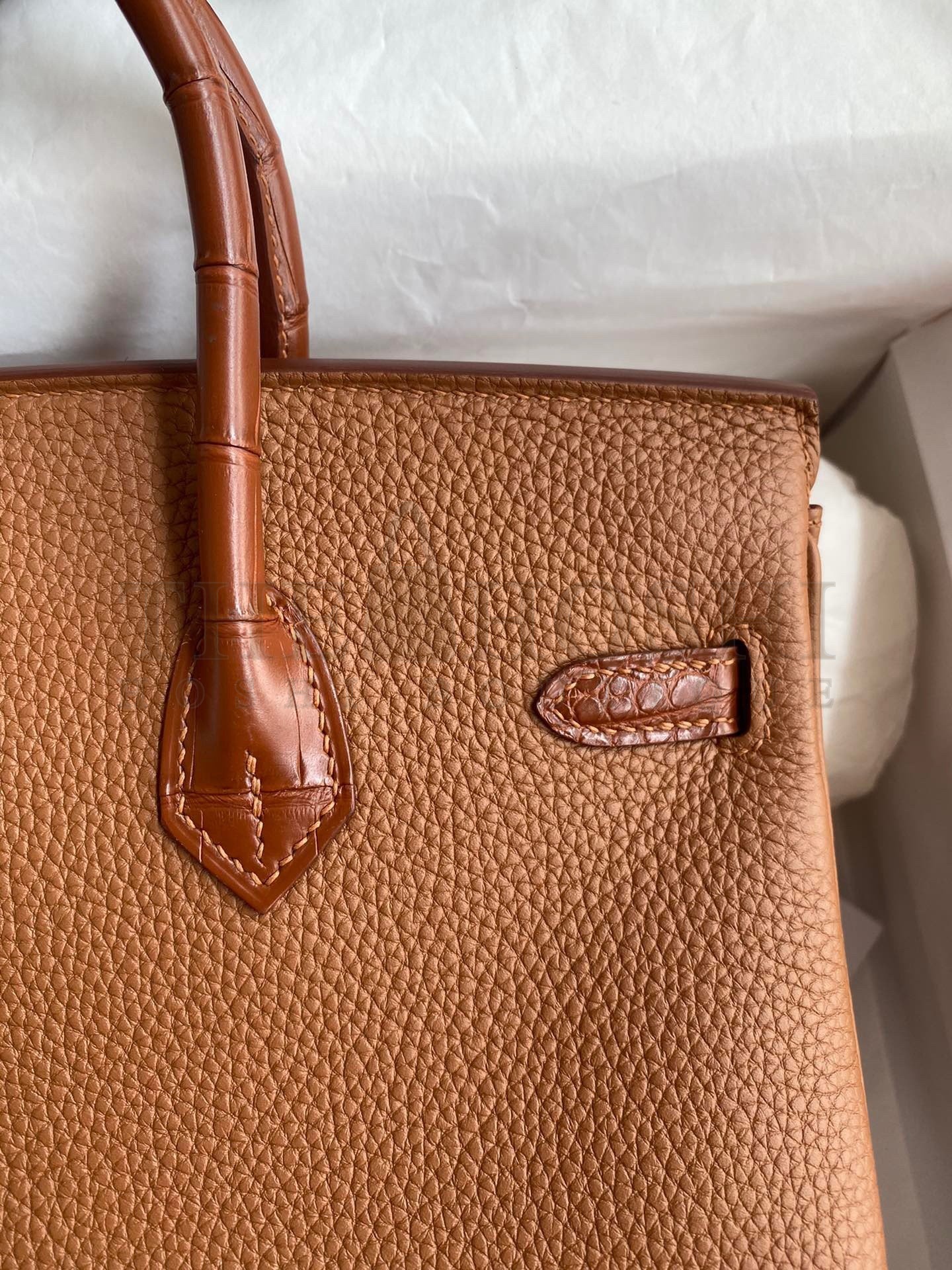 H**me5 Touch Birkin 25 Bag in Gold Togo and Matte Alligator Leather Master Quality