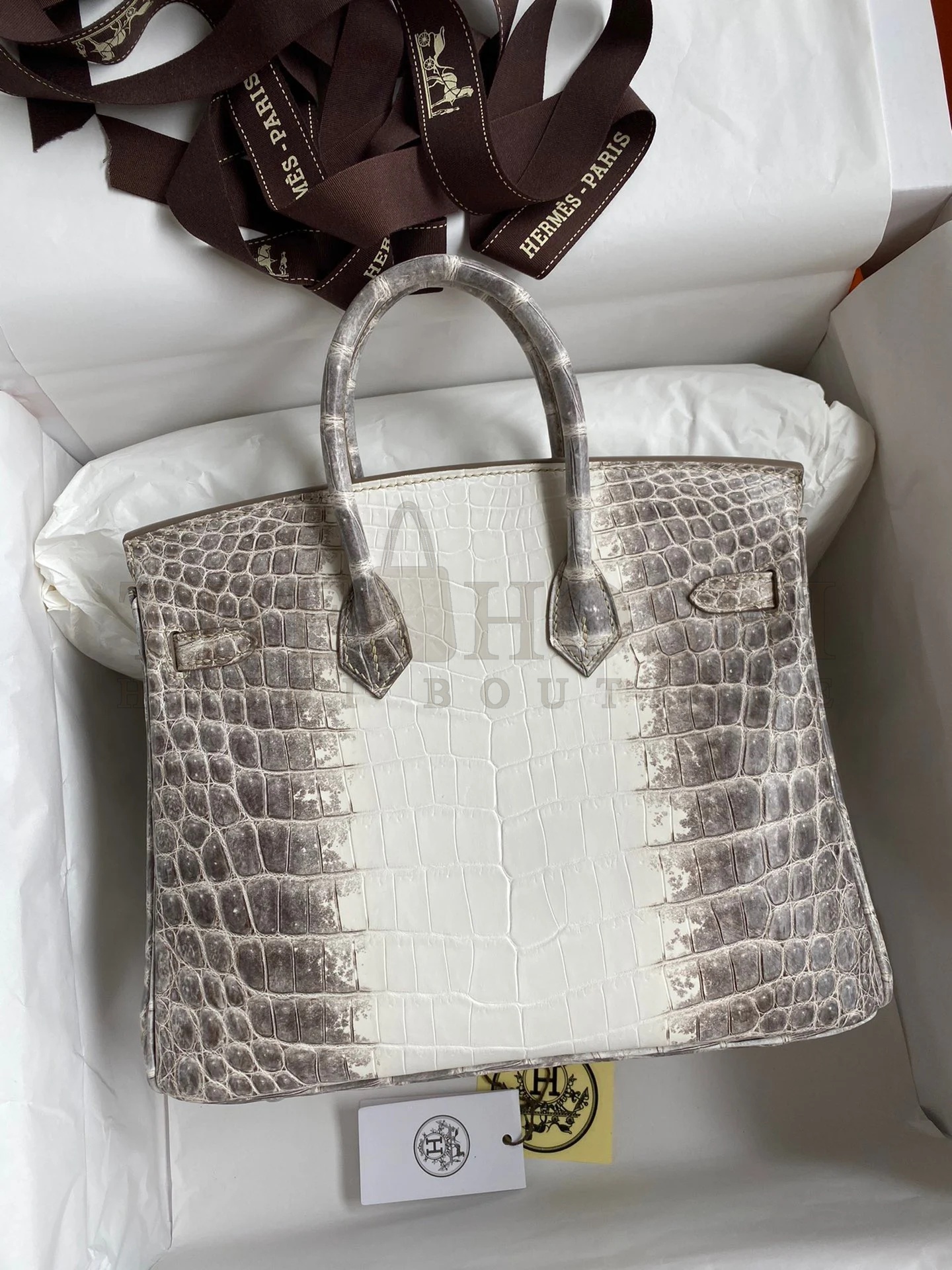 H**me5 Birkin 25 D1am0nd Bag In Himalaya Niloticus Crocodile Skin Master Quality