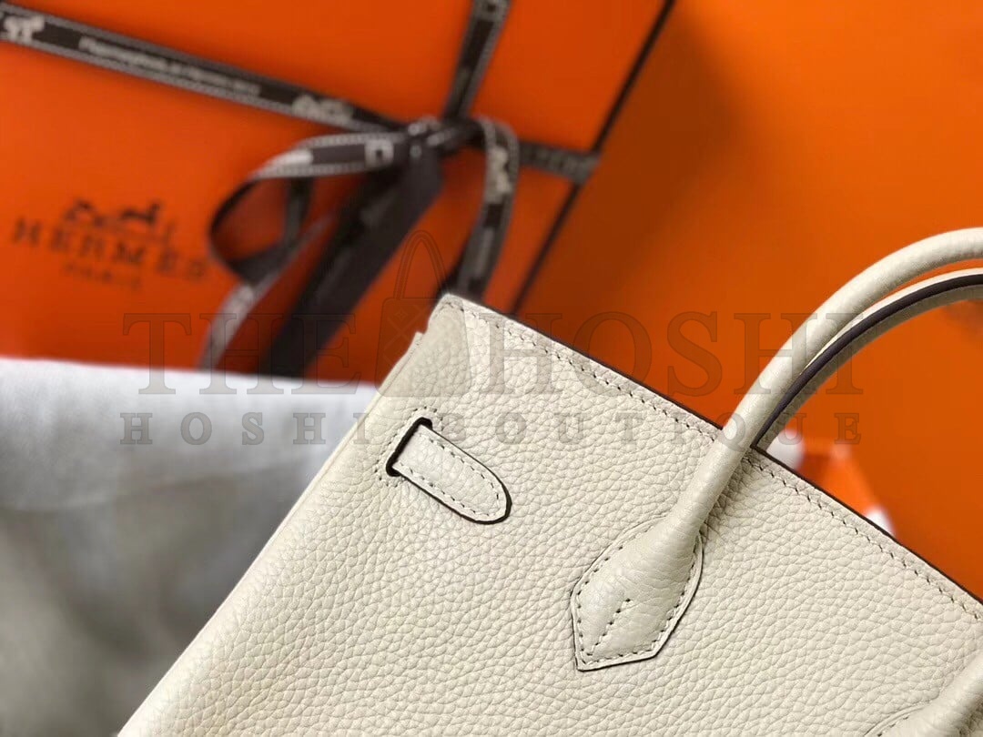 H**me5 Birkin 25 Bag In Beton Clemence Leather with GHW Master Quality