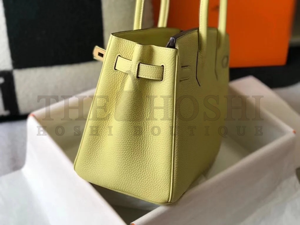 H**me5 Birkin 30 Bag in Jaune Poussin Clemence Leather with GHW Master Quality
