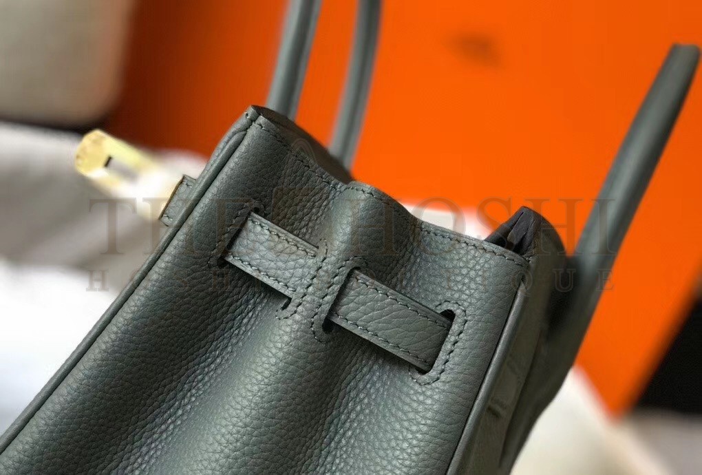 H**me5 Birkin 30 Bag in Vert Amande Clemence Leather with GHW Master Quality
