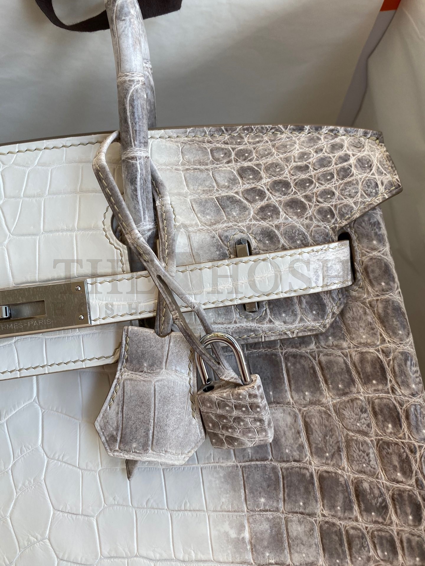 H**me5 Birkin 25 Retourne Bag In Himalaya Niloticus Crocodile Skin Master Quality