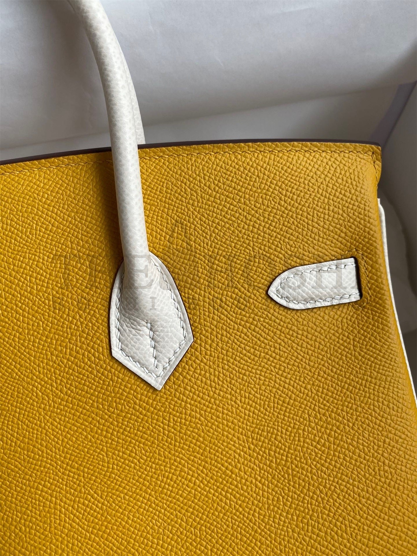 H**me5 HSS Birkin 25 Bicolor Bag in Jaune d